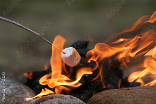 marshmallow feast