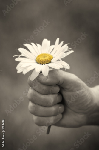 it's for you!(special photo f/x)