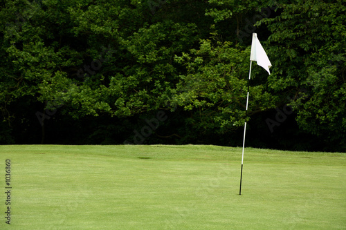 Εκτύπωση καμβά golf flagpole