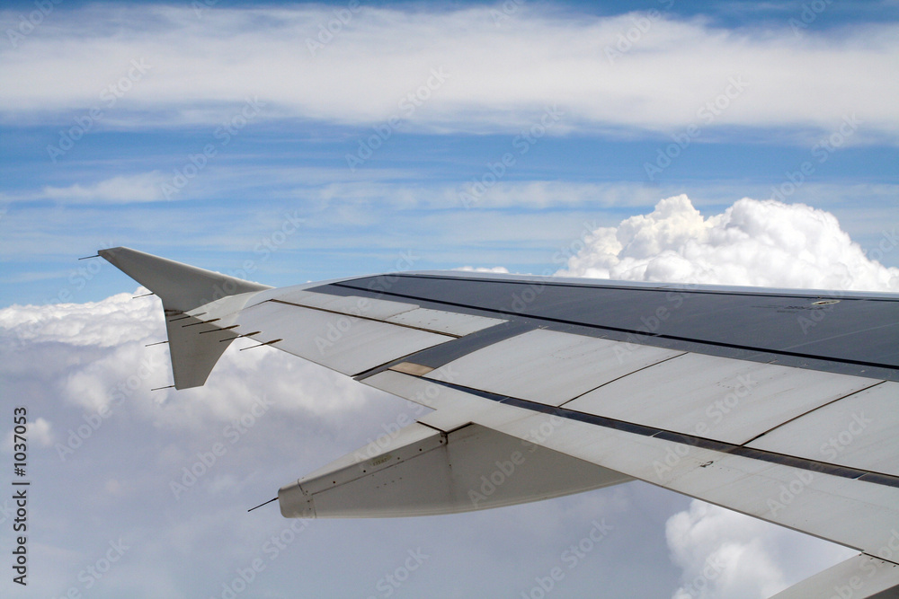 Obraz premium plane wing