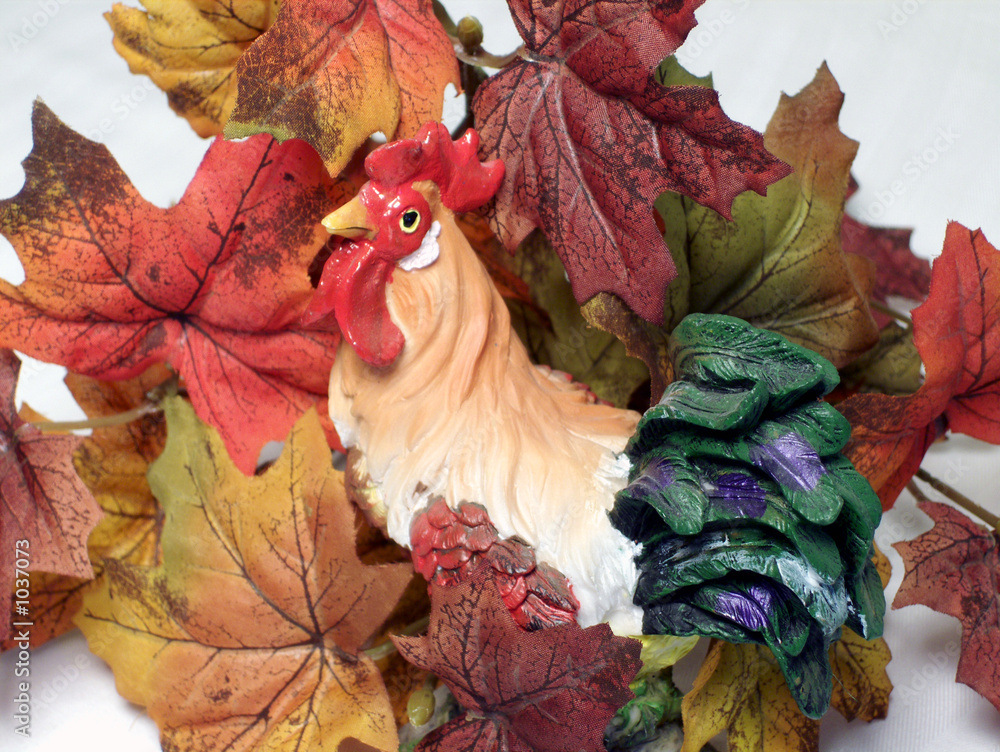 Obraz premium rooster