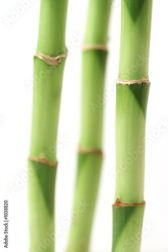 3 bambus halme
