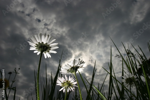 dramatisches licht