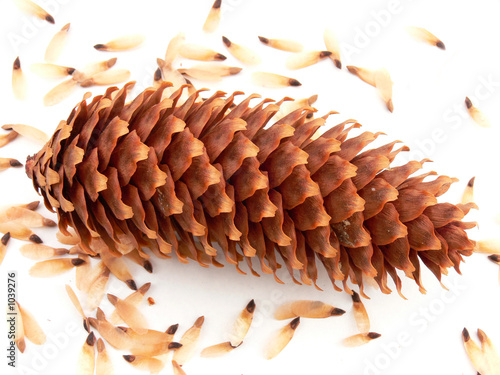 white cone