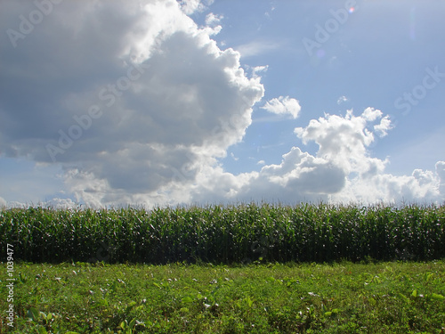 corfield background photo