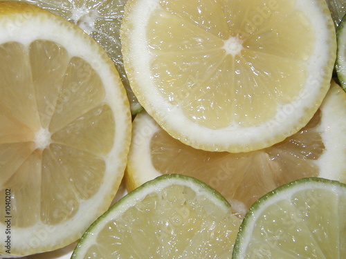 lemonlime photo