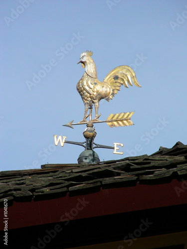 golden rooster