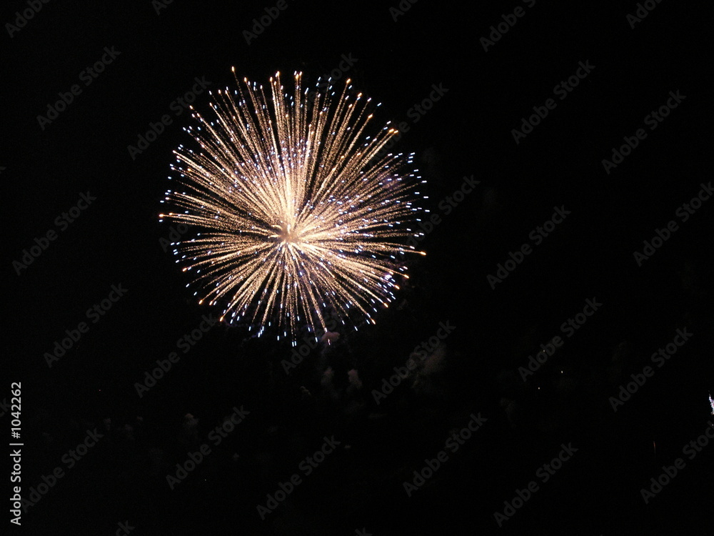 firework firework