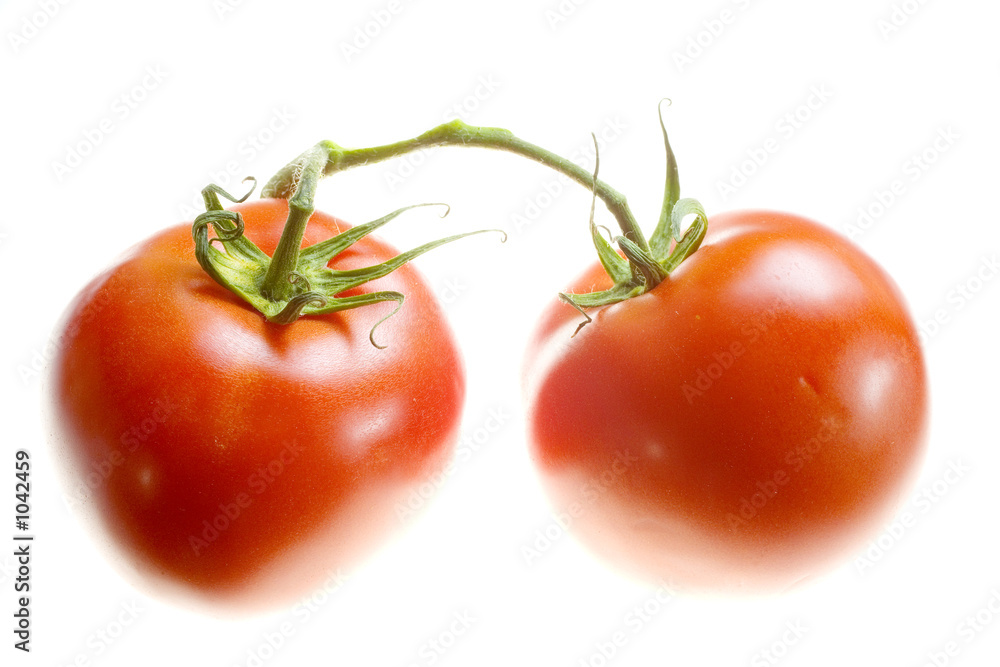 stock photo of two tomatoes isolated on white background stock photo of two tomatoes isolated on white background
