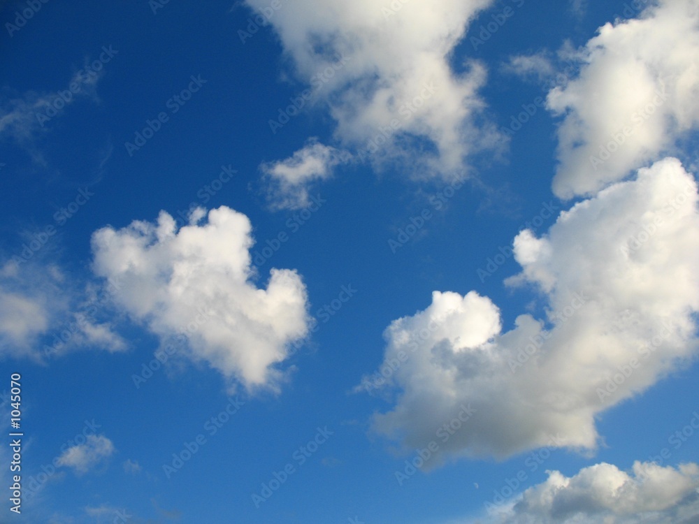 Fototapeta premium wolken