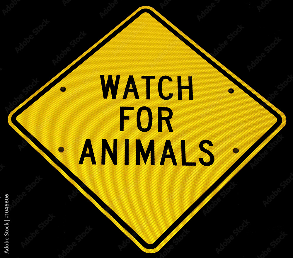 watch for animals, black and yellow street road sign