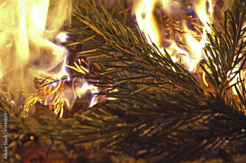 Wallpaper Mural burning wood Torontodigital.ca