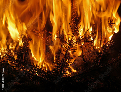 Wallpaper Mural fire #27 Torontodigital.ca