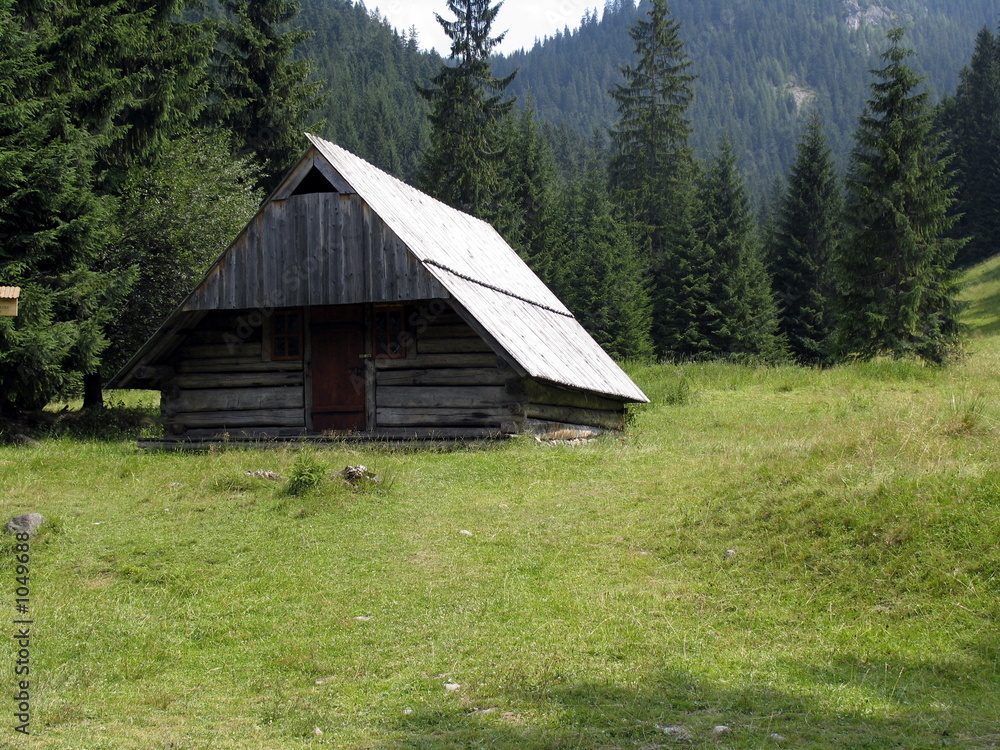 hut hut