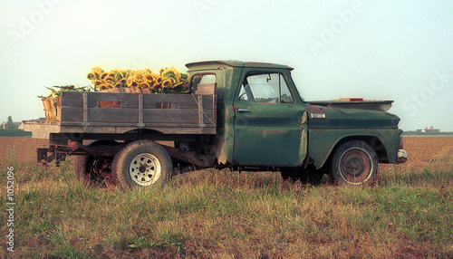 sunflower truck
