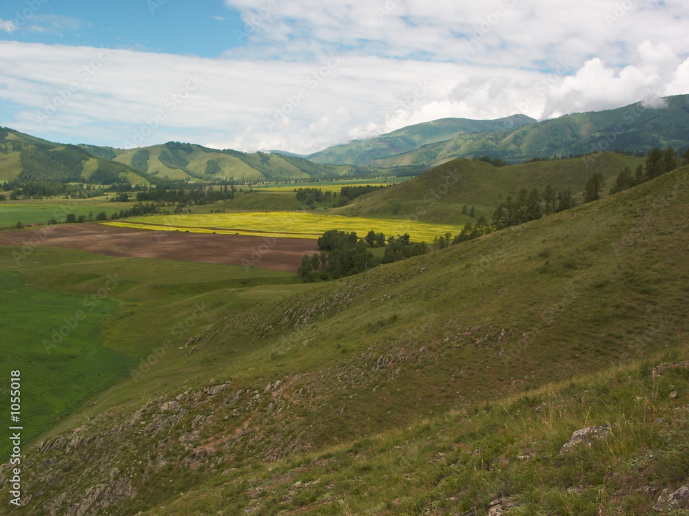 Fototapeta premium vivid fields