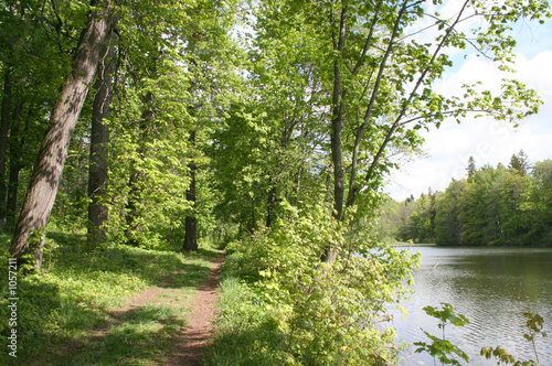 landscape with a pathway along the lakeside
