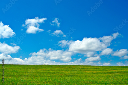 green field, blue sky and white clouds