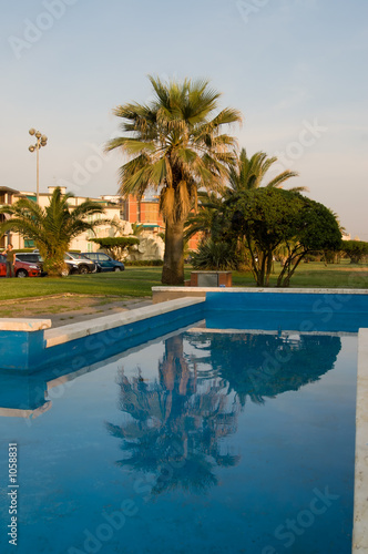 palm reflected in a fountain  italy