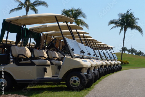 Slika na platnu golf carts