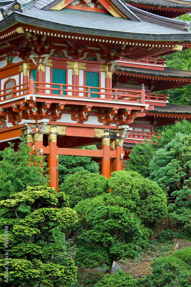 japanese tea garden
