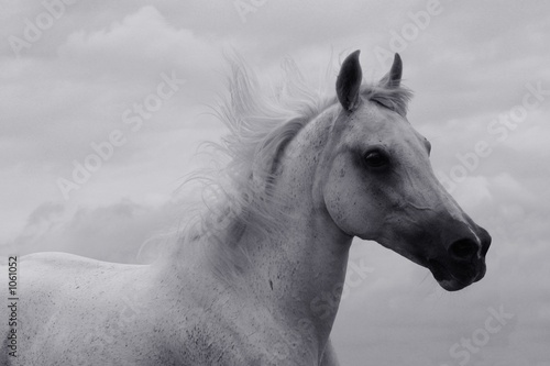 running in black and white