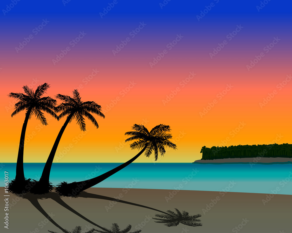 sunset palm beach