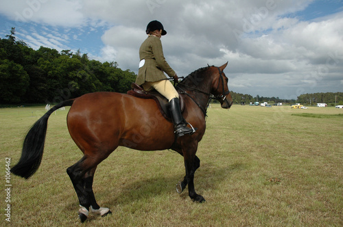 horse with jockey at dressage tests in the park