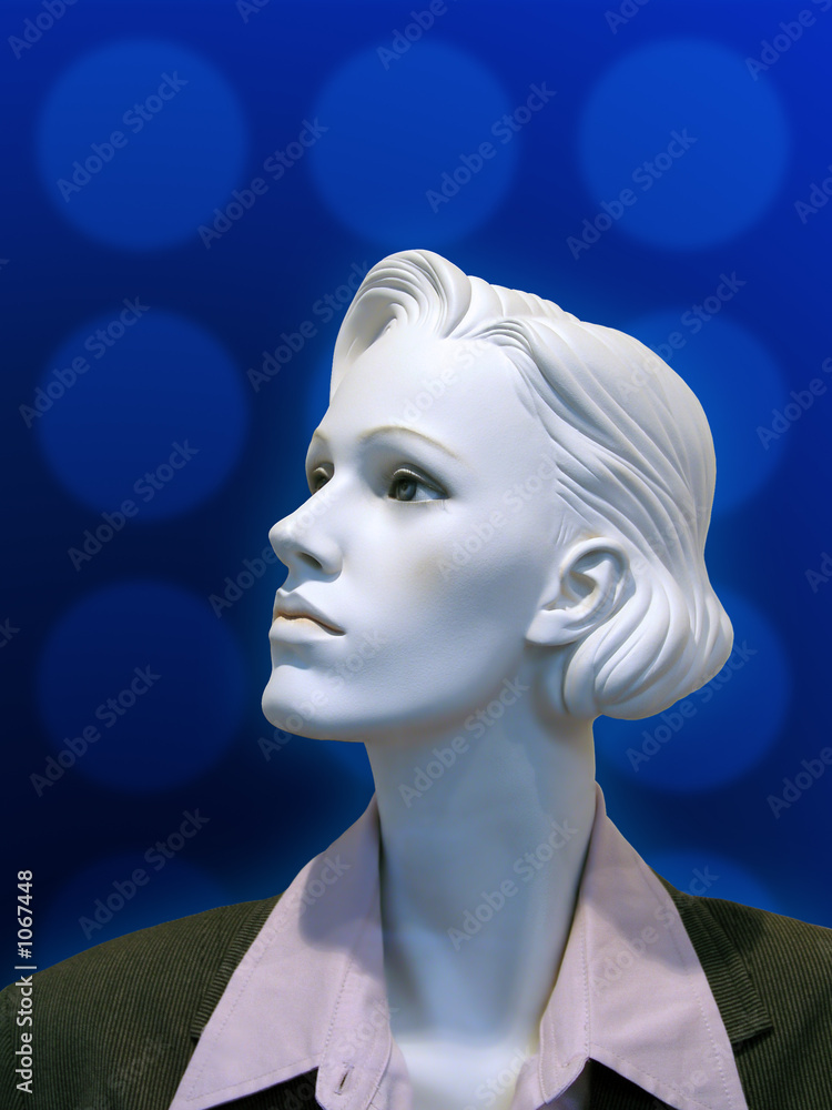 business mannequin business mannequin