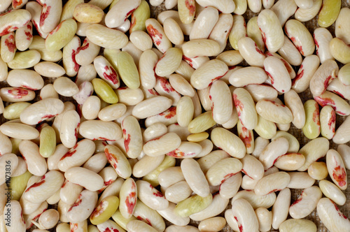 young kidney beans background photo