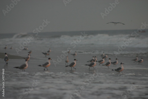 muggy day at thebeach photo