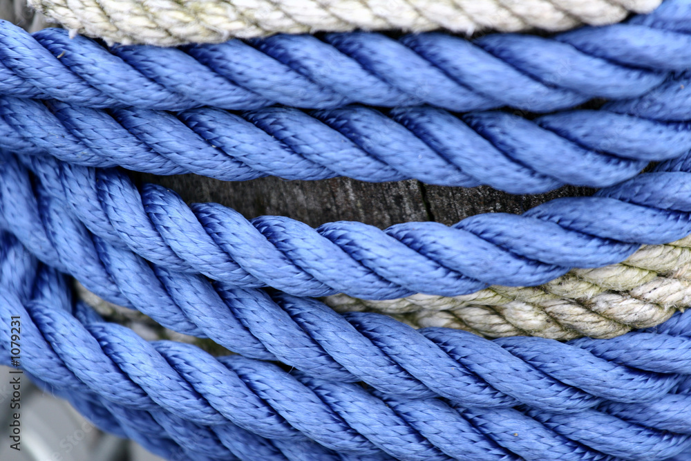 dock dock