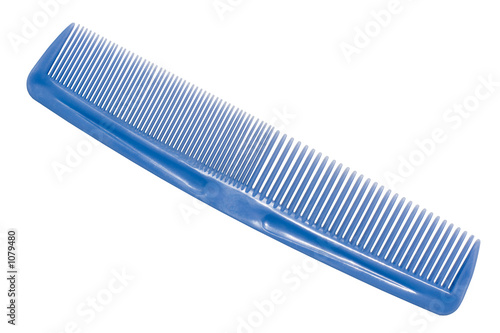 Bild auf Leinwand blue comb