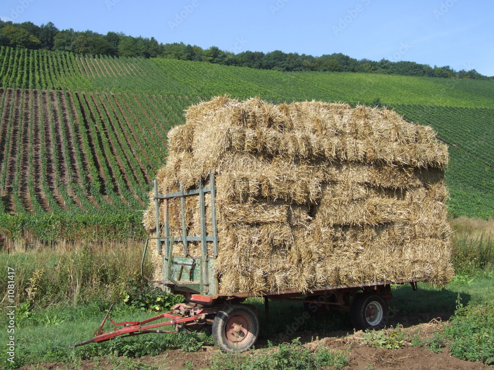 fuhre stroballen StockFoto Adobe Stock