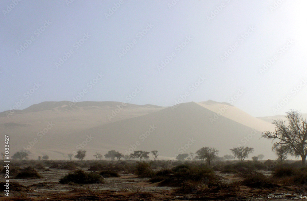 vent de sable dans le désert