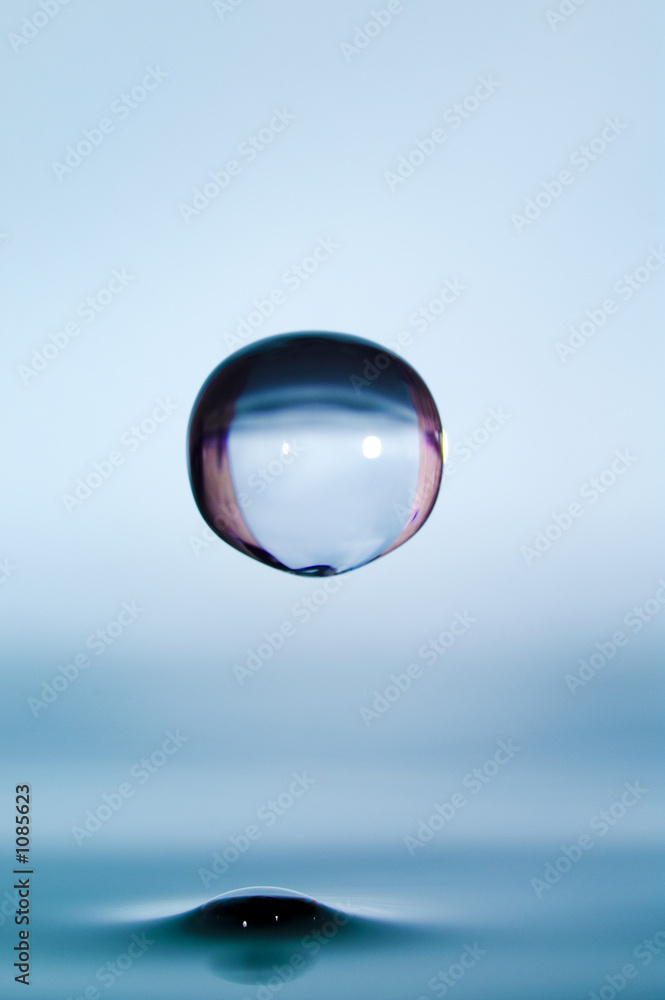 aqua aqua