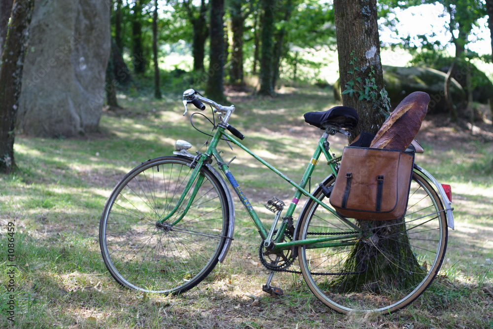 vélo posé contre un arbre