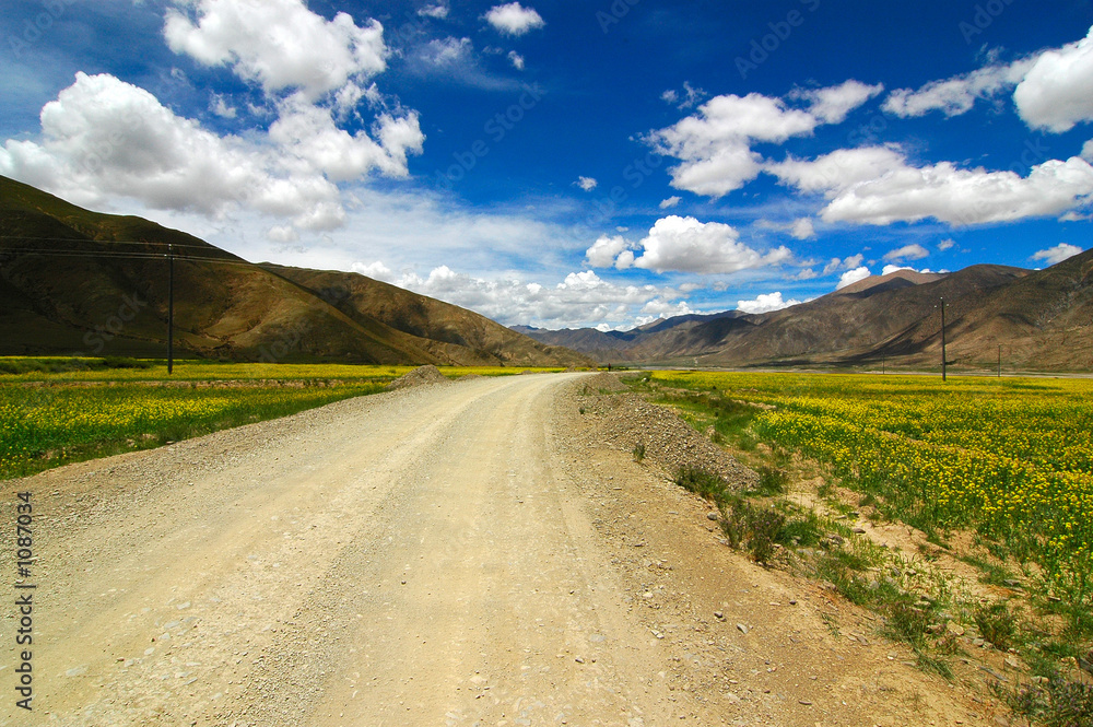 the road ahead the road ahead
