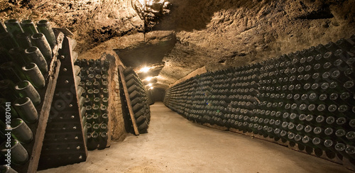 bodega