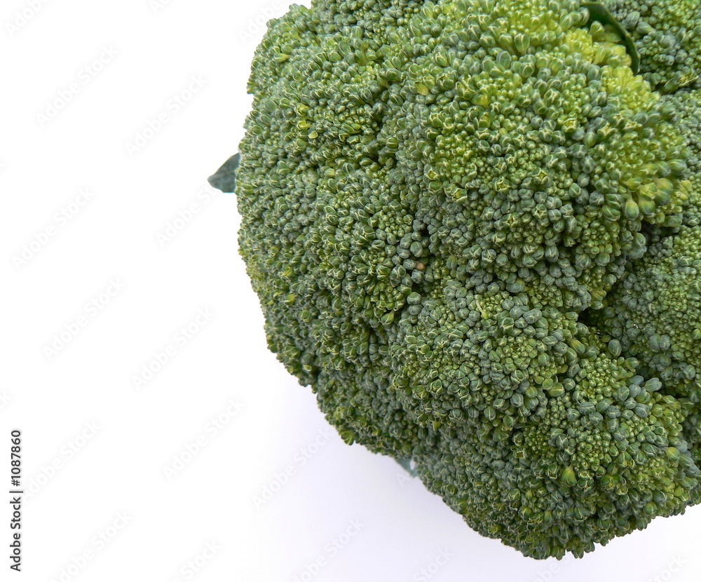 broccoli broccoli