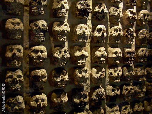 wall of skulls photo
