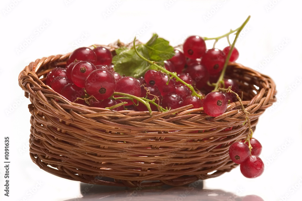 currant currant