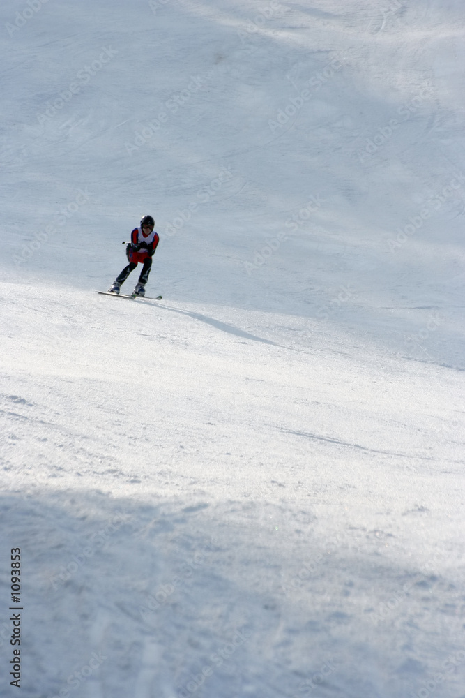 alpine racer