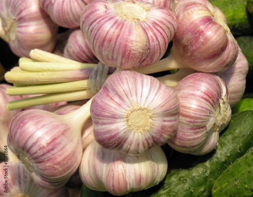 pink garlic bulbs