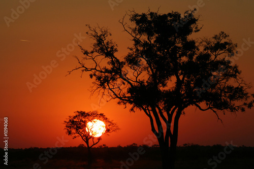 coucher de soleil et étoile filante