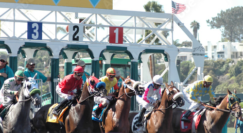 Fotografia, Obraz race horses coming out of the gate