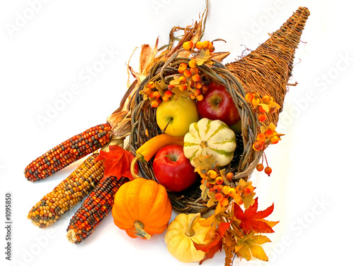 thanksgiving fall autumn cornucopia © sparkia