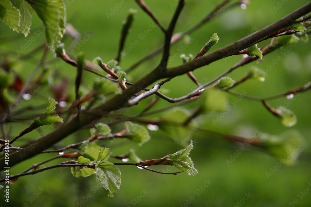 natur natur
