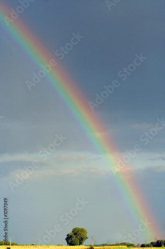 arc en ciel photo