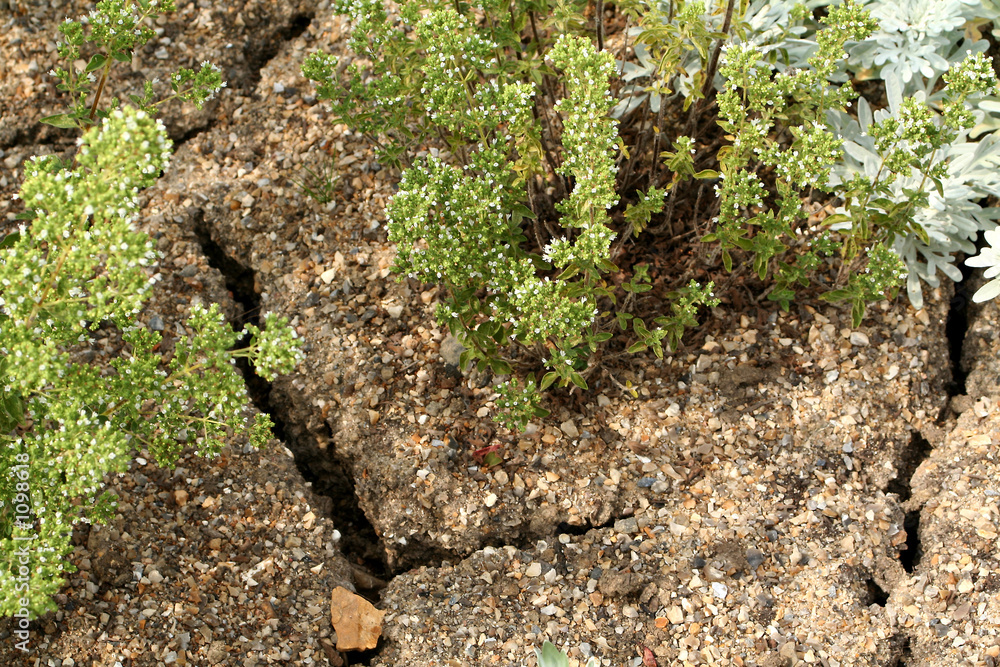 drought drought